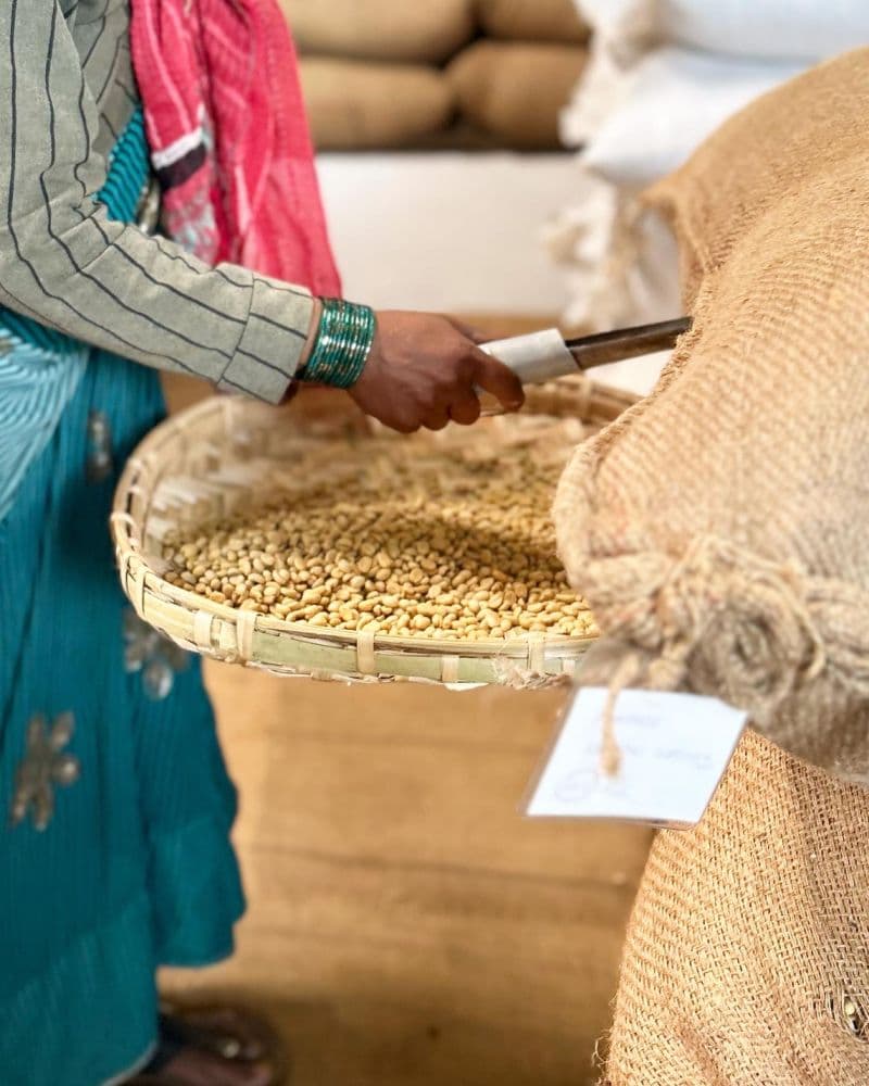 A worker's hands sorting through green coffee beans on a grading tray