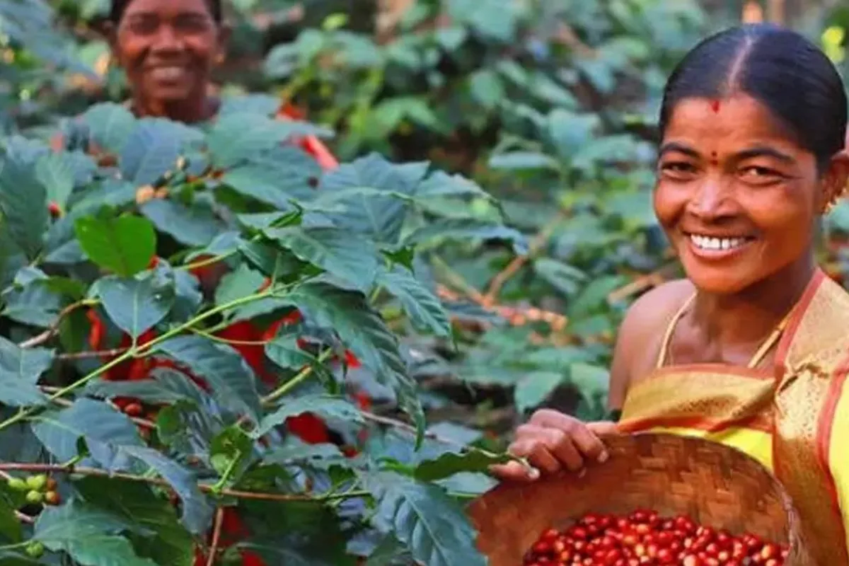 A picker smiling beside a coffee bush with a basket of ripe red cherries under one arm, a second picker behind her